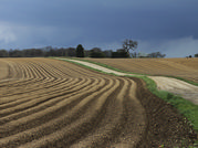 TONY HOWES - TRACK BETWEEN THE FURROWS